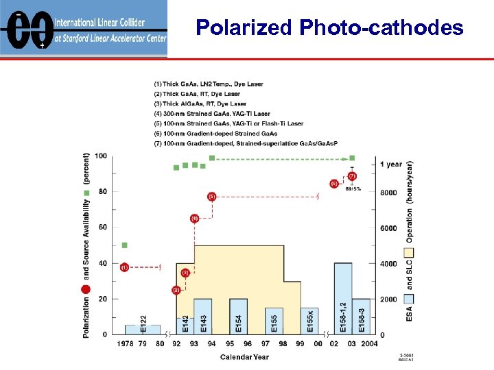 Polarized Photo-cathodes 