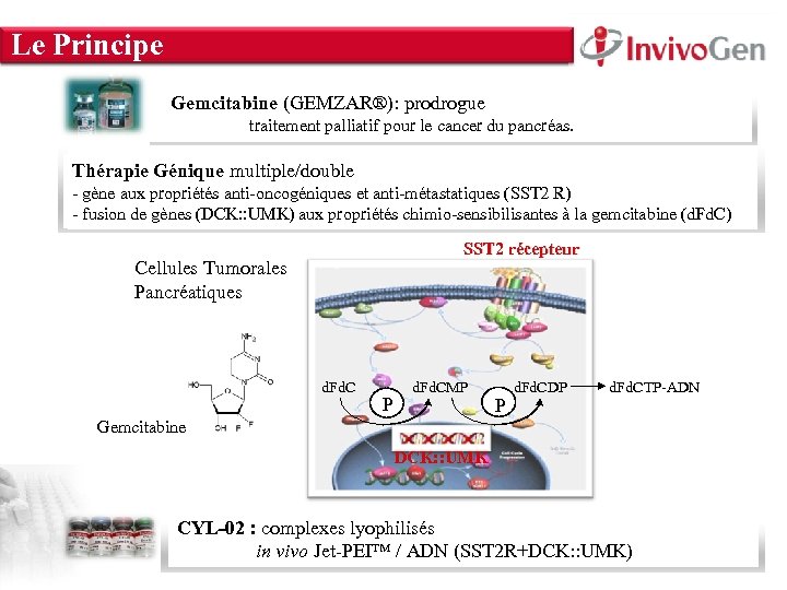 INNOVATION WITHIN Le Principe About Us • Innate Immunity • Cell Culture & Transfection
