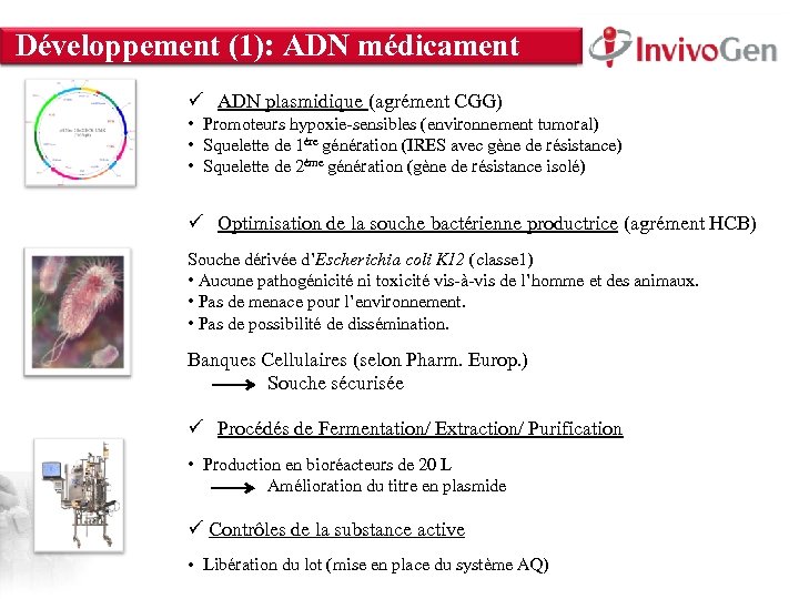 Développement (1): ADN médicament INNOVATION WITHIN About Us • Innate Immunity • Cell Culture