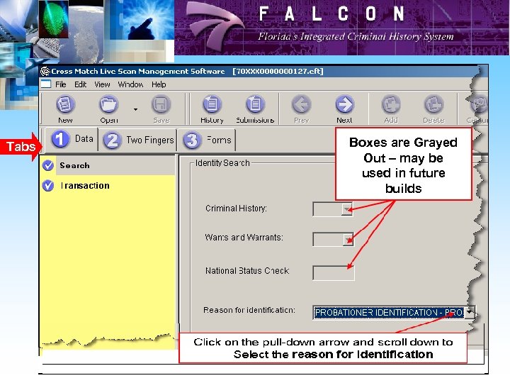 Tabs Boxes are Grayed Out -– may be Out National Check willfuture used in