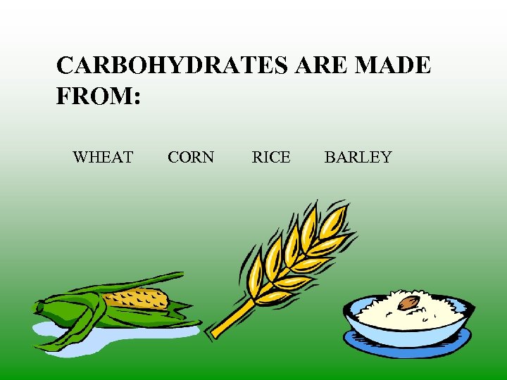 CARBOHYDRATES ARE MADE FROM: WHEAT CORN RICE BARLEY 