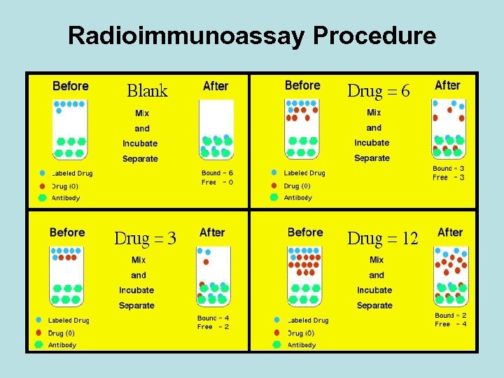 Radioimmunoassay Procedure 