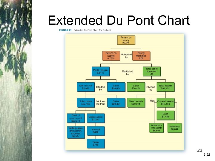 Extended Du Pont Chart Insert Figure 3. 1 (Extended Du. Pont Chart) 22 3