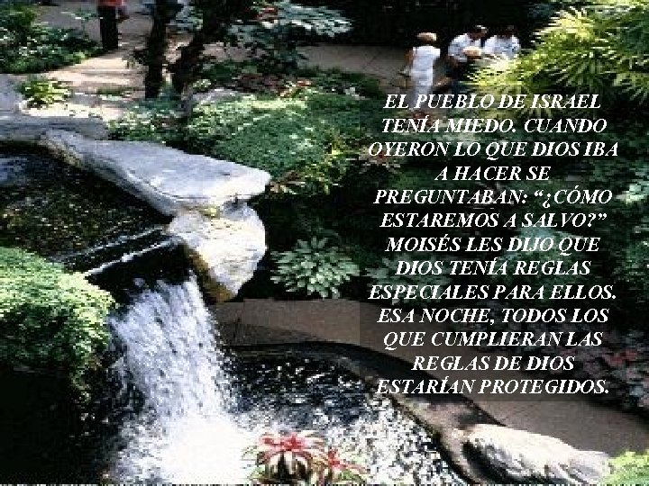 EL PUEBLO DE ISRAEL TENÍA MIEDO. CUANDO OYERON LO QUE DIOS IBA A HACER