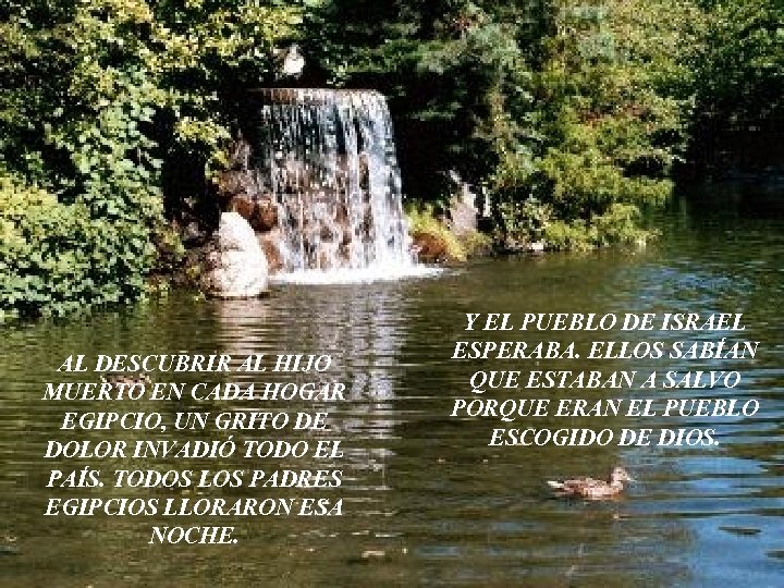 AL DESCUBRIR AL HIJO MUERTO EN CADA HOGAR EGIPCIO, UN GRITO DE DOLOR INVADIÓ