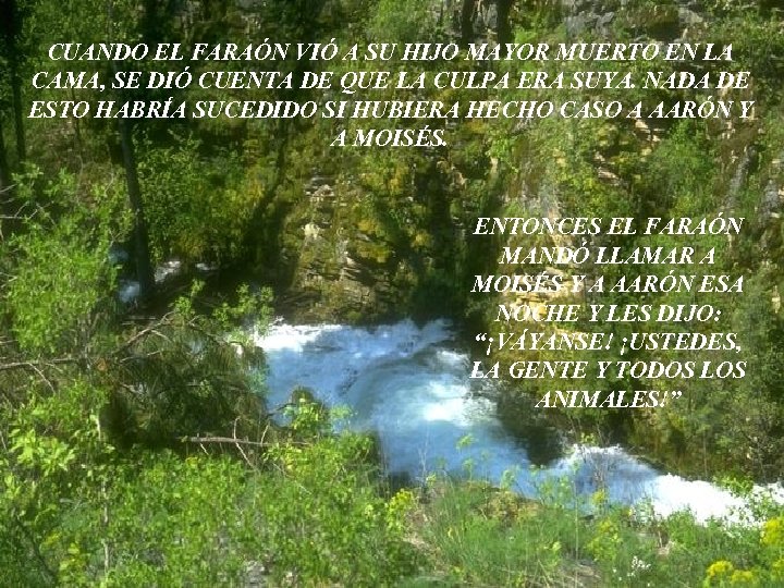 CUANDO EL FARAÓN VIÓ A SU HIJO MAYOR MUERTO EN LA CAMA, SE DIÓ