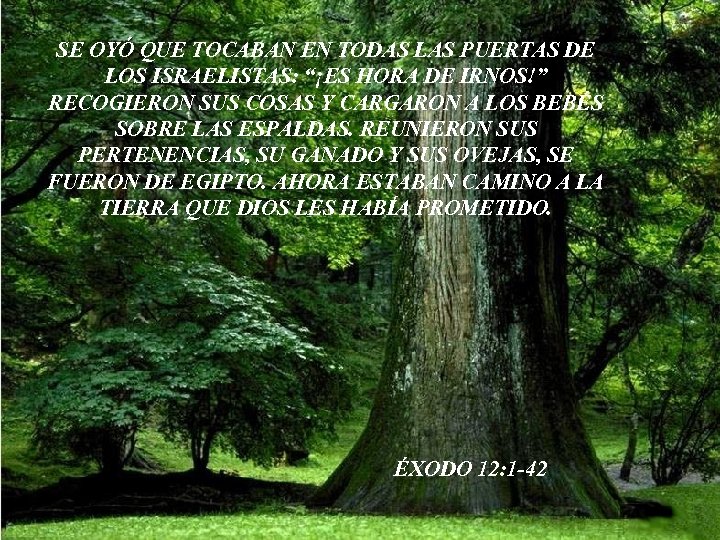 SE OYÓ QUE TOCABAN EN TODAS LAS PUERTAS DE LOS ISRAELISTAS: “¡ES HORA DE