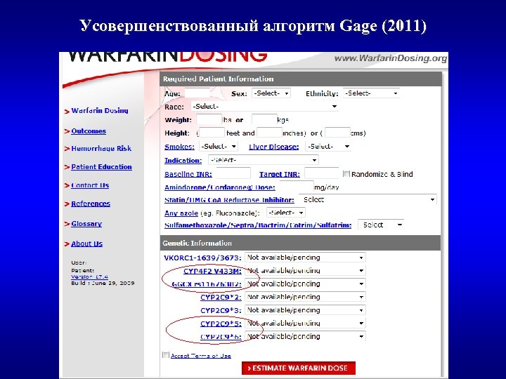 Усовершенствованный алгоритм Gage (2011) 
