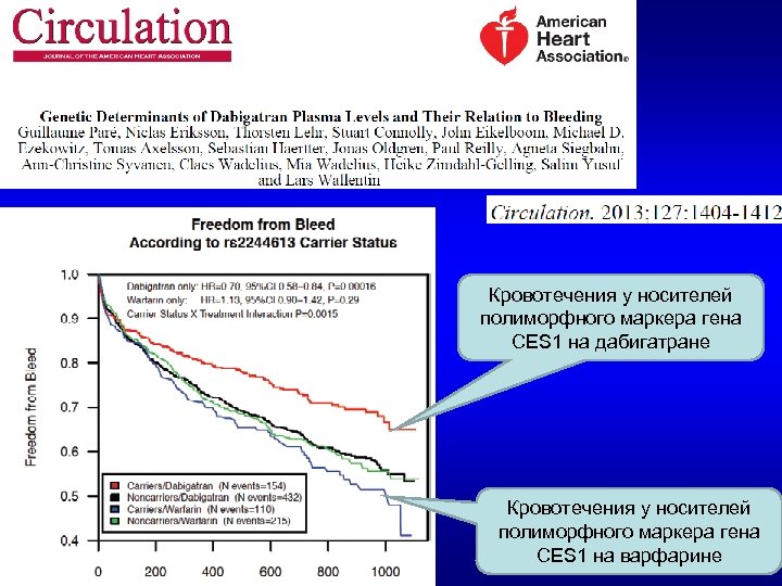Кровотечения у носителей полиморфного маркера гена CES 1 на дабигатране Кровотечения у носителей полиморфного