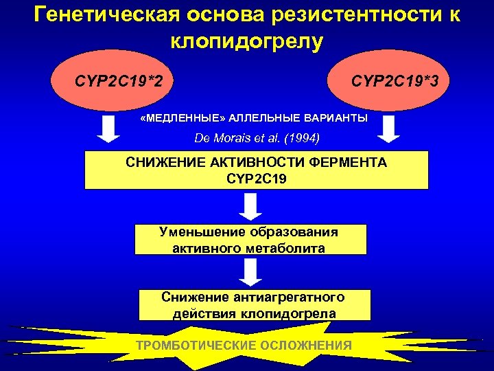 Генетическая основа резистентности к клопидогрелу CYP 2 C 19*2 CYP 2 C 19*3 «МЕДЛЕННЫЕ»
