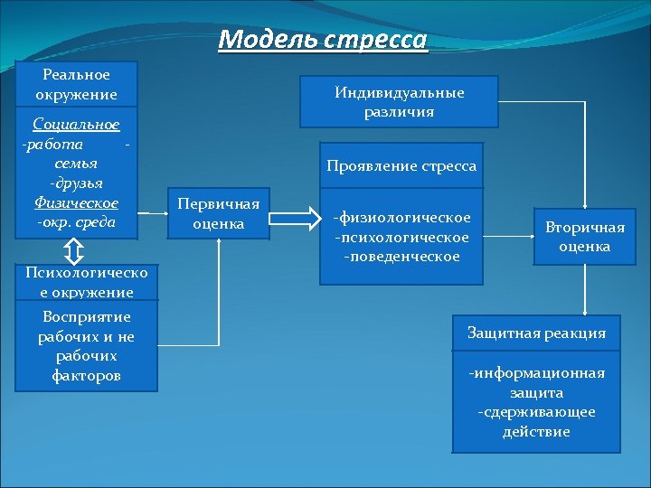 Назовите основные этапы развития стресса в физиологическом плане