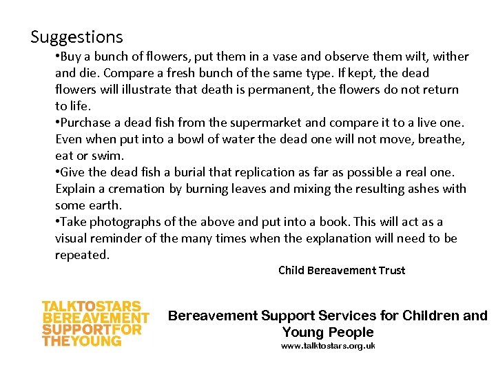 Suggestions • Buy a bunch of flowers, put them in a vase and observe