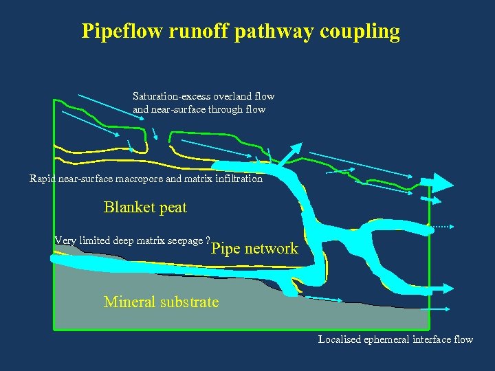 Pipeflow runoff pathway coupling Saturation-excess overland flow and near-surface through flow Rapid near-surface macropore