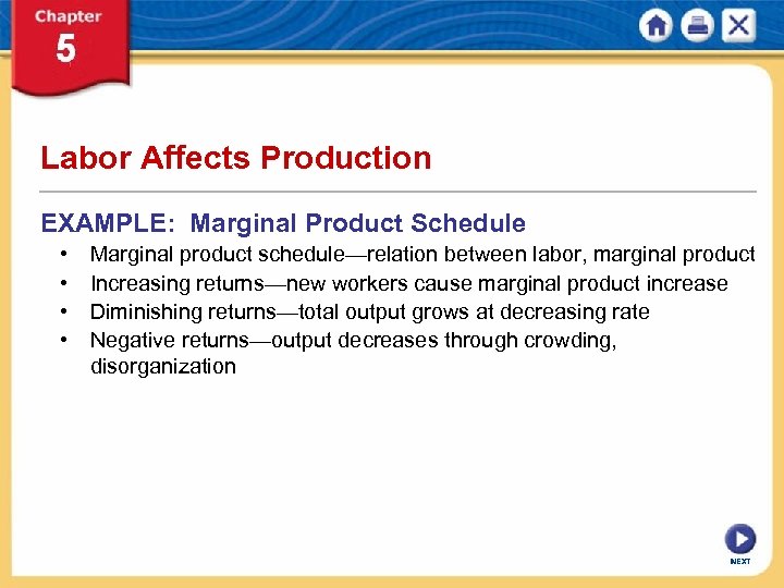 Labor Affects Production EXAMPLE: Marginal Product Schedule • • Marginal product schedule—relation between labor,