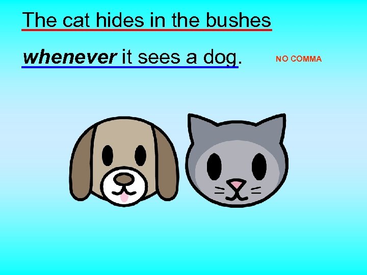 The cat hides in the bushes whenever it sees a dog. NO COMMA 