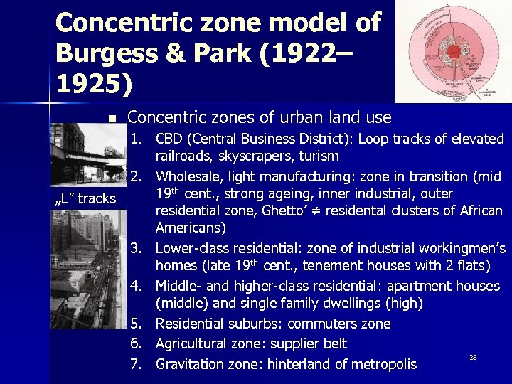 Concentric zone model of Burgess & Park (1922– 1925) n Concentric zones of urban