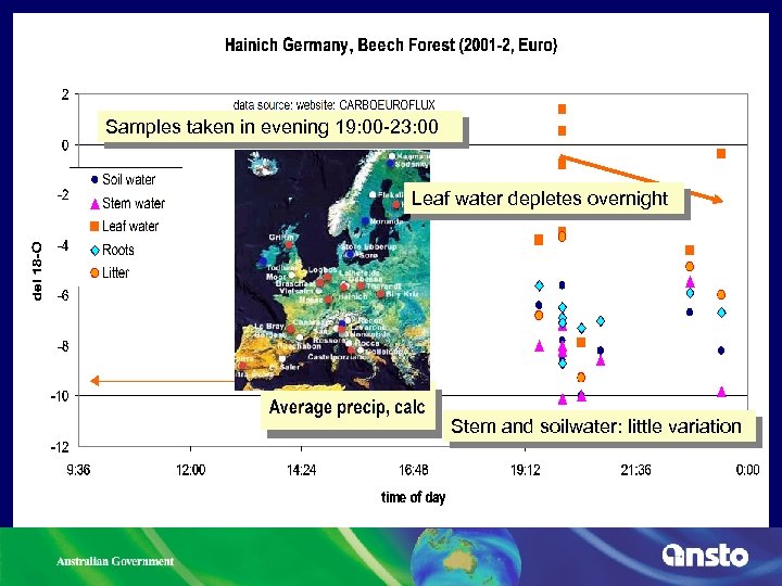 Samples taken in evening 19: 00 -23: 00 Leaf water depletes overnight Stem and