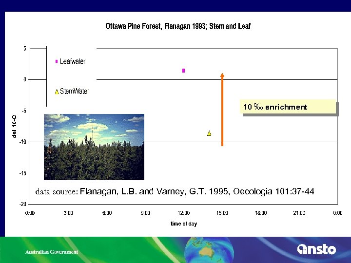10 ‰ enrichment data source: Flanagan, L. B. and Varney, G. T. 1995, Oecologia