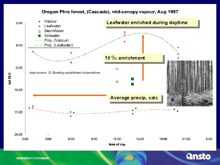 Leafwater enriched during daytime 10 ‰ enrichment Average precip, calc 