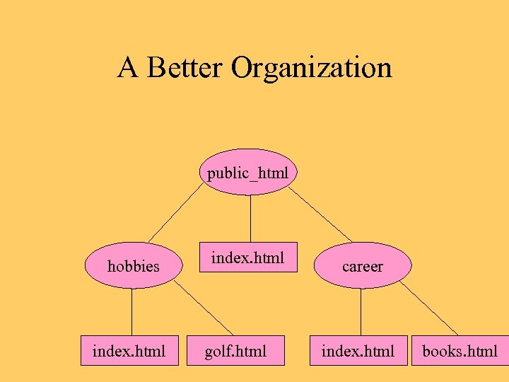 A Better Organization public_html hobbies index. html golf. html career index. html books. html