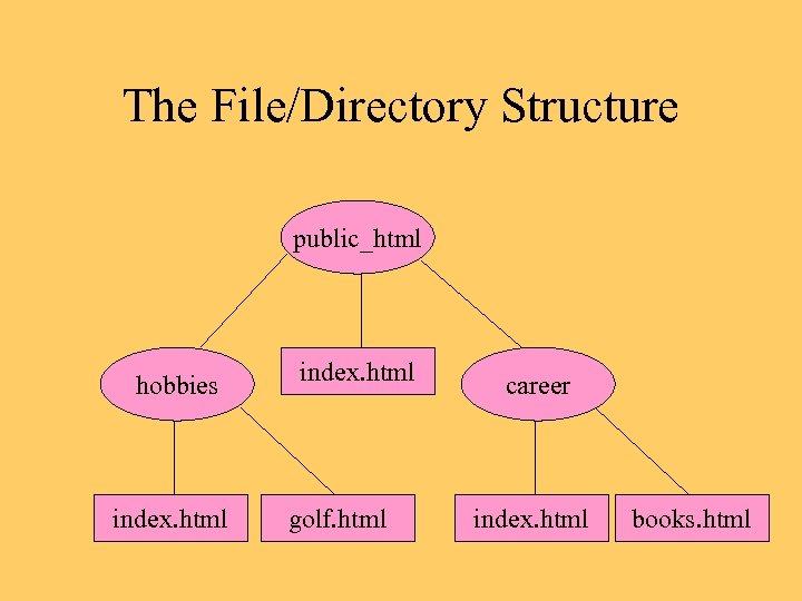 The File/Directory Structure public_html hobbies index. html golf. html career index. html books. html