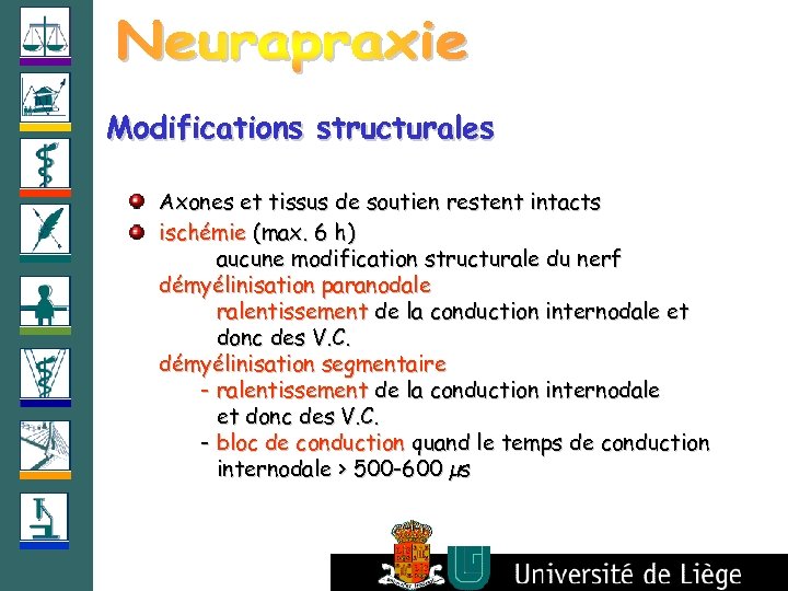 Modifications structurales Axones et tissus de soutien restent intacts ischémie (max. 6 h) aucune