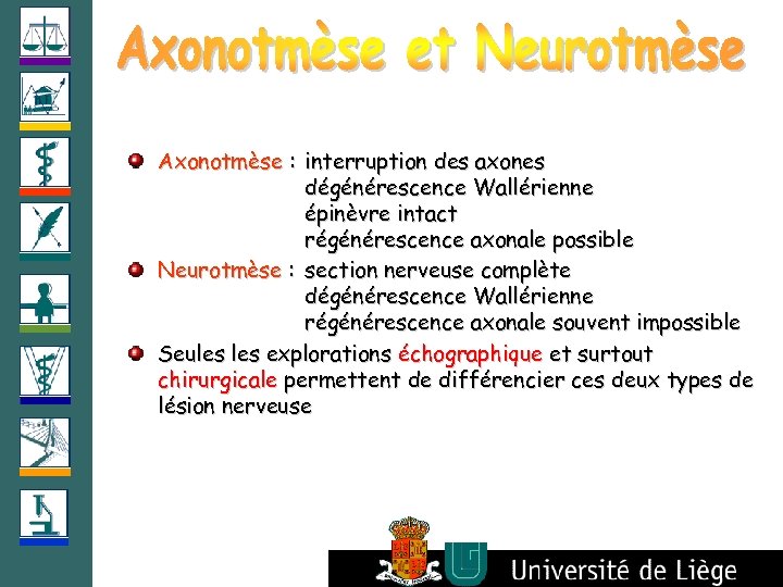 Axonotmèse : interruption des axones dégénérescence Wallérienne épinèvre intact régénérescence axonale possible Neurotmèse :