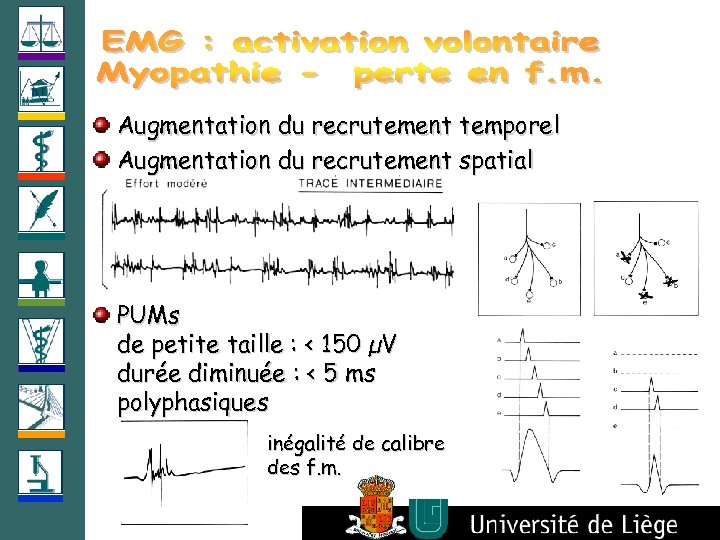 Augmentation du recrutement temporel Augmentation du recrutement spatial PUMs de petite taille : <