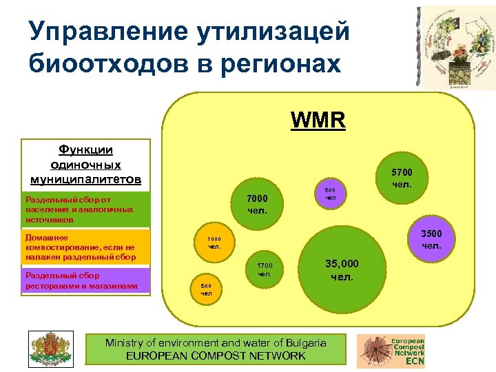 Управление утилизацей биоотходов в регионах WMR Функции одиночных муниципалитетов 7000 чел. Раздельный сбор от