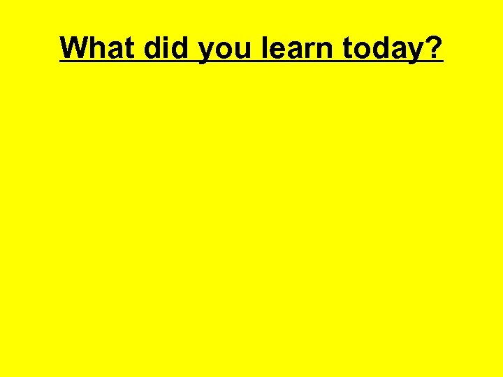 What did you learn today? 