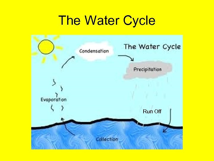 The Water Cycle Run Off 