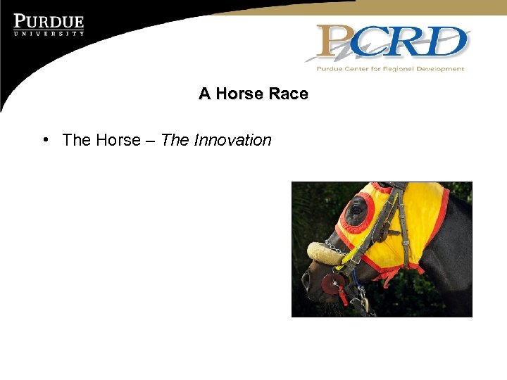 A Horse Race • The Horse – The Innovation 
