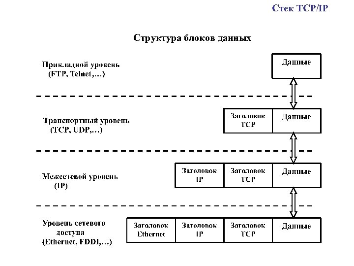 Стек TCP/IP Структура блоков данных 