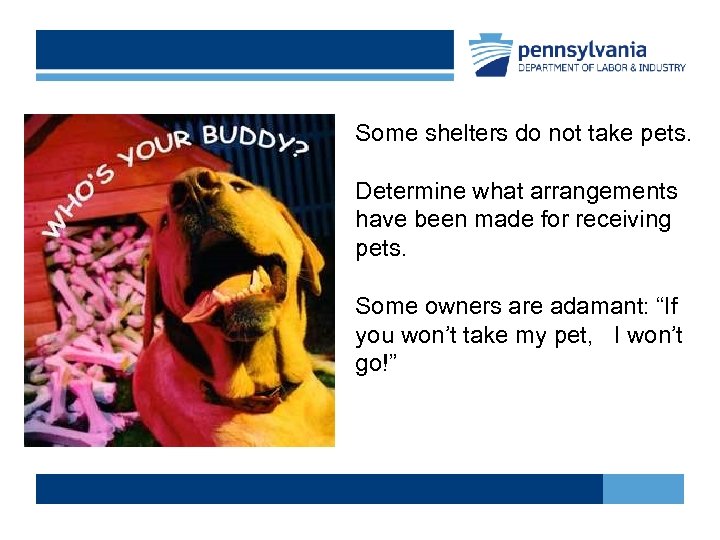 Some shelters do not take pets. Determine what arrangements have been made for receiving