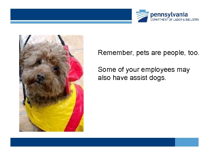 Remember, pets are people, too. Some of your employees may also have assist dogs.