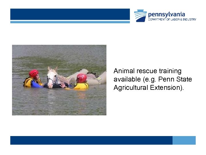 Animal rescue training available (e. g. Penn State Agricultural Extension). 