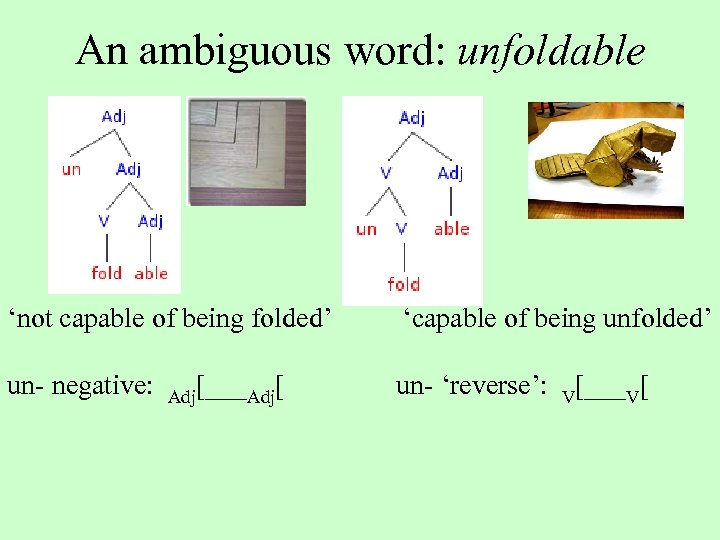 An ambiguous word: unfoldable ‘not capable of being folded’ ‘capable of being unfolded’ un-