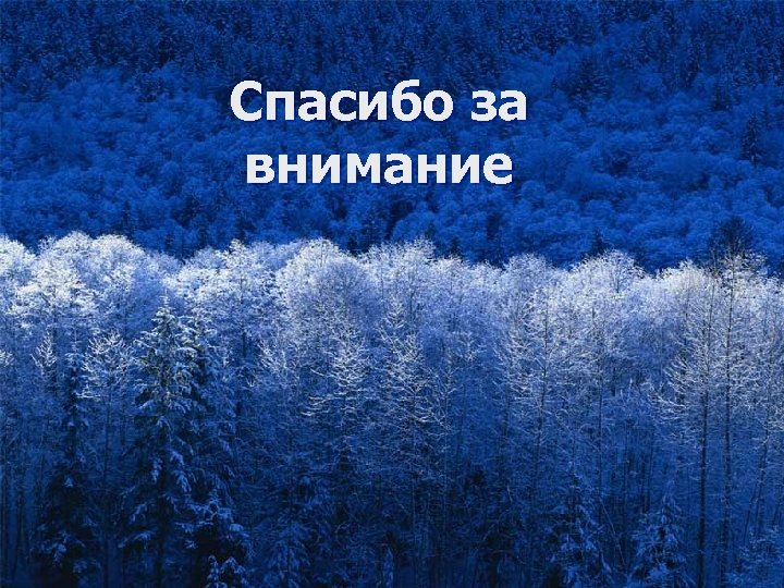 Спасибо за внимание 