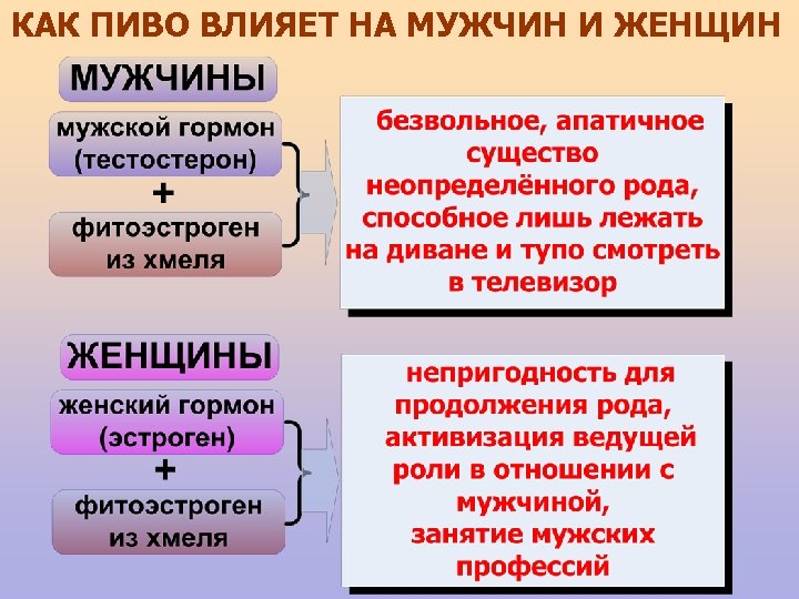 КАК ПИВО ВЛИЯЕТ НА МУЖЧИН И ЖЕНЩИН 