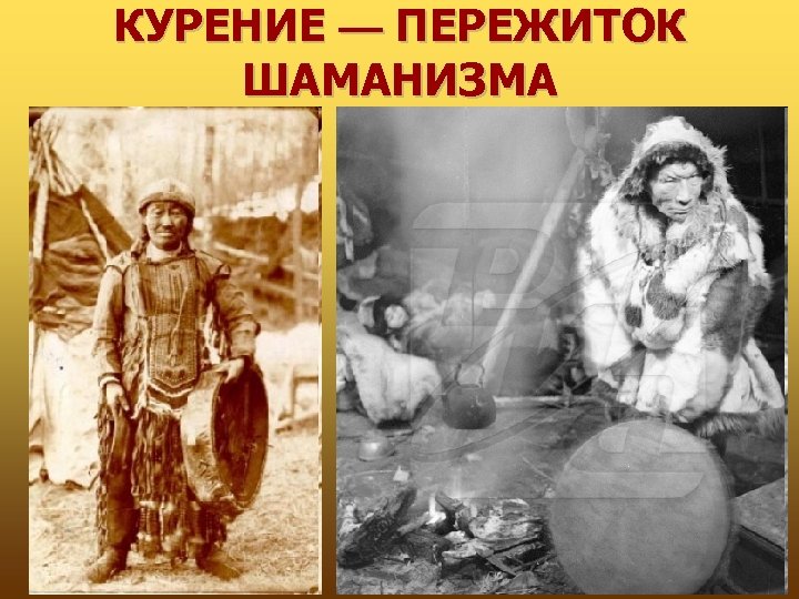 КУРЕНИЕ — ПЕРЕЖИТОК ШАМАНИЗМА 