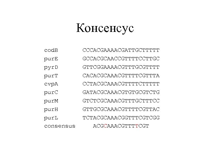 Консенсус cod. B CCCACGAAAACGATTGCTTTTT pur. E GCCACGCAACCGTTTTCCTTGC pyr. D GTTCGGAAAACGTTTGCGTTTT pur. T CACACGCAAACGTTTTCGTTTA cvp.