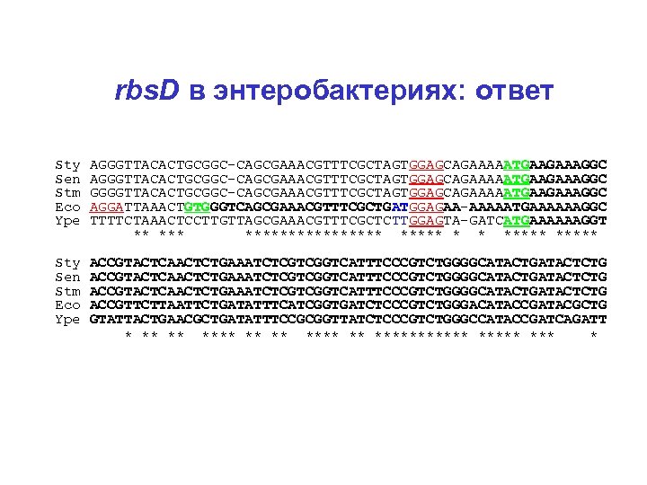 rbs. D в энтеробактериях: ответ Sty AGGGTTACACTGCGGC-CAGCGAAACGTTTCGCTAGTGGAGCAGAAAAATGAAGAAAGGC Sen AGGGTTACACTGCGGC-CAGCGAAACGTTTCGCTAGTGGAGCAGAAAAATGAAGAAAGGC Stm GGGGTTACACTGCGGC-CAGCGAAACGTTTCGCTAGTGGAGCAGAAAAATGAAGAAAGGC Eco AGGATTAAACTGTGGGTCAGCGAAACGTTTCGCTGATGGAGAA-AAAAATGAAAAAAGGC Ype