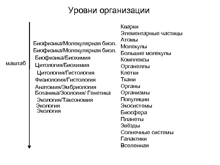 Уровни организации маштаб Кварки Элементарные частицы Атомы Биофизика/Молекулярная биол. Молекулы Биофизика/Молекулярная биол. Большие молекулы