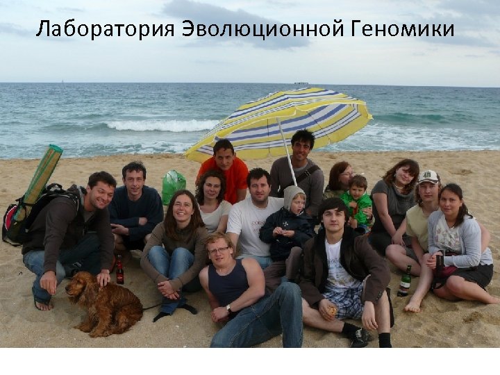 Лаборатория Эволюционной Геномики 