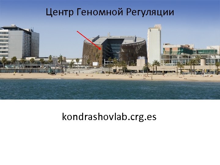 Центр Геномной Регуляции kondrashovlab. crg. es 