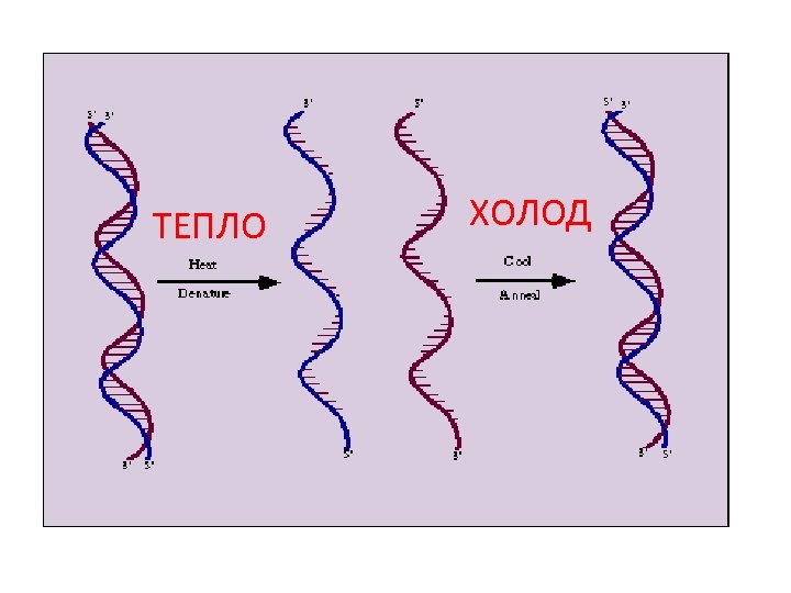 ТЕПЛО ХОЛОД 