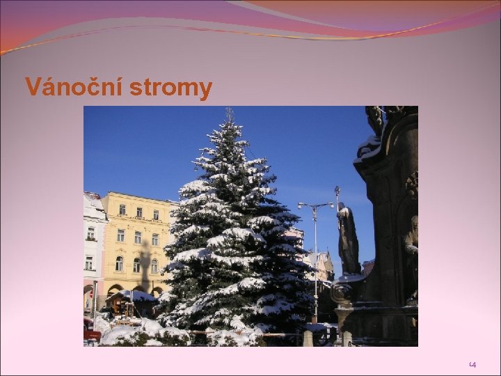 Vánoční stromy 14 