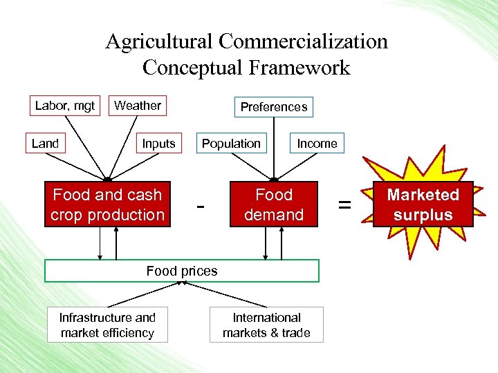 Agricultural Commercialization Conceptual Framework Labor, mgt Land Weather Inputs Food and cash crop production