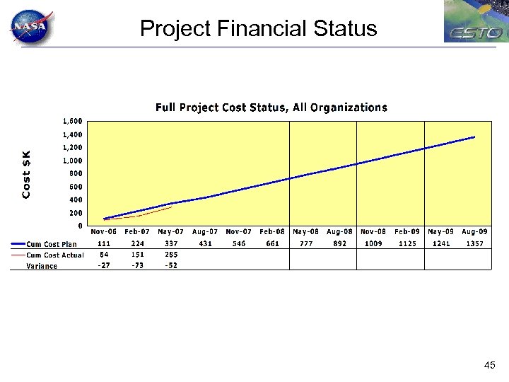 Project Financial Status 45 