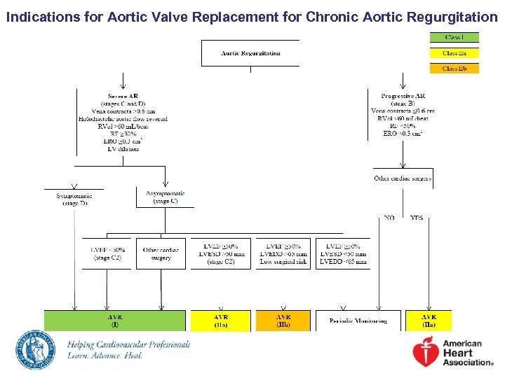 Indications for Aortic Valve Replacement for Chronic Aortic Regurgitation 